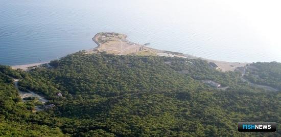 Марифермерам Кубани приготовили черноморские участки Марифермерам Кубани приготовили черноморские участки