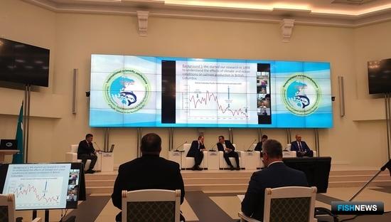 Исследования лосося будут в приоритете Исследования лосося будут в приоритете