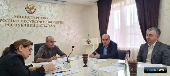Дагестанские рыбаки получили объемы кутума Дагестанские рыбаки получили объемы кутума