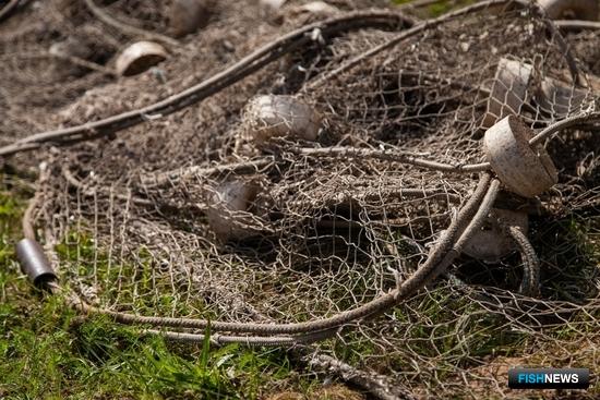 Рыбоводы видят негативные последствия ликвидации Депрыбхоза