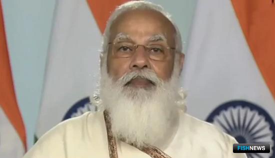 Индия намерена стать лидером рыбного экспорта