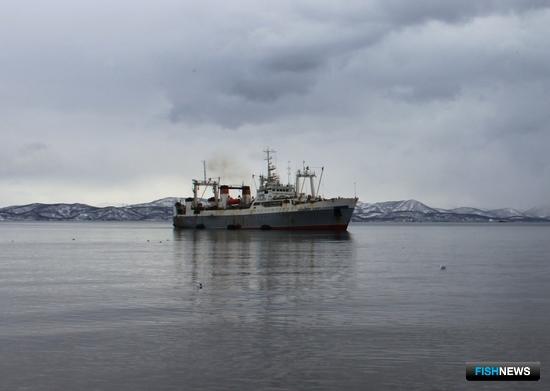 Рыбакам сократили число заявлений