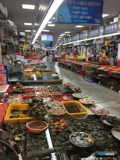 Южная Корея анонсировала &laquo;рыбную пятилетку&raquo;