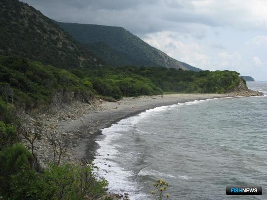 Кубанский заповедник Утриш прирастет водами Кубанский заповедник Утриш прирастет водами