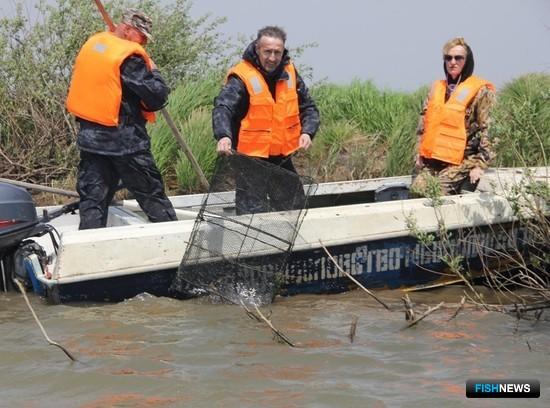 Реки и озера снова проверят на брошенные сети Реки и озера снова проверят на брошенные сети