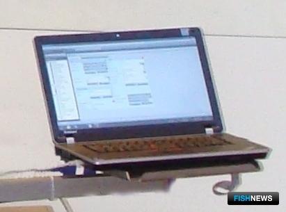 Сайты с электроудочками заинтересовали правоохранителей Сайты с электроудочками заинтересовали правоохранителей