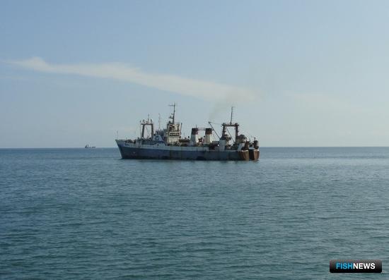 Рыбакам представили механизм топливных субсидий Рыбакам представили механизм топливных субсидий