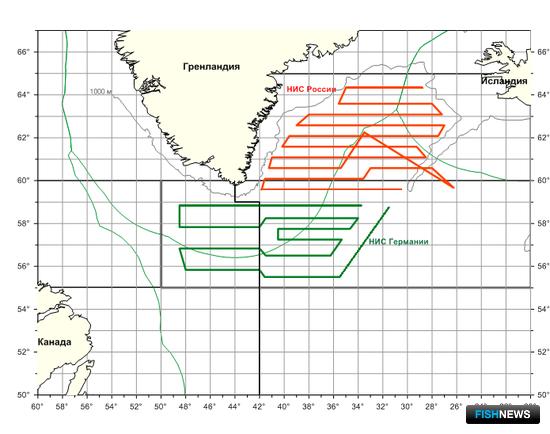 Ученые готовятся к съемкам окуня-клювача