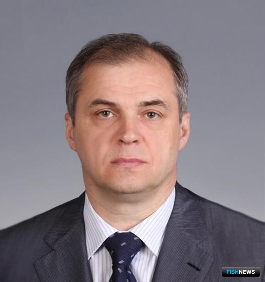 Новый руководитель подготовит Росморпорт к акционированию Новый руководитель подготовит Росморпорт к акционированию