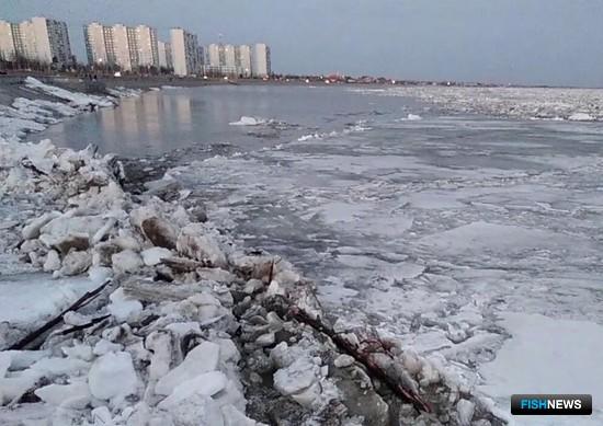 Обь пришлось спасать от огня