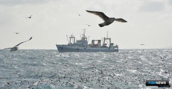 Правительство уточнило правила промысла неквотируемых видов