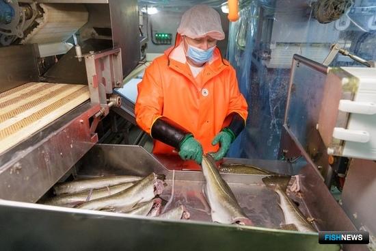 Поправки по «прибрежке» прошли первое чтение Поправки по «прибрежке» прошли первое чтение