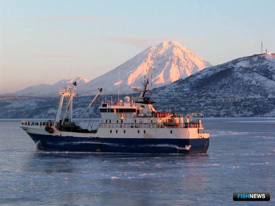 Ярусоловы расширяют «тресковый» MSC-сертификат Ярусоловы расширяют «тресковый» MSC-сертификат