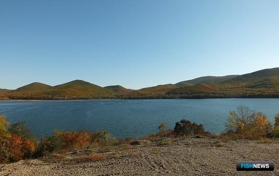 Представители КМНС в Приморье смогут получить участки для промысла Представители КМНС в Приморье смогут получить участки для промысла