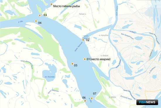 От пожара на Оби пострадала рыба