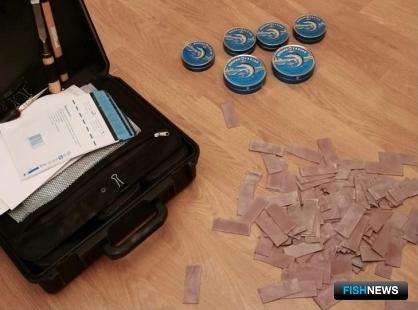 Перекупщицу браконьерской икры ждет скамья подсудимых Перекупщицу браконьерской икры ждет скамья подсудимых