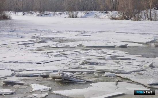 Легкомыслие рыболова подняло на ноги полицию Легкомыслие рыболова подняло на ноги полицию