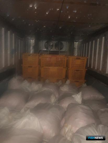 Браконьерскую креветку в Приморье не пустили к покупателям Браконьерскую креветку в Приморье не пустили к покупателям