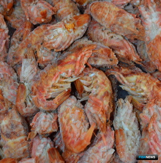 Квоты в Японском море и Северо-Западной Атлантике выставили на торги