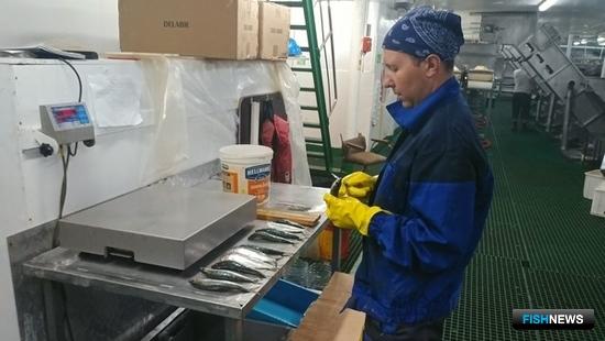 Российские ученые вернулись из рейса в зону Мавритании