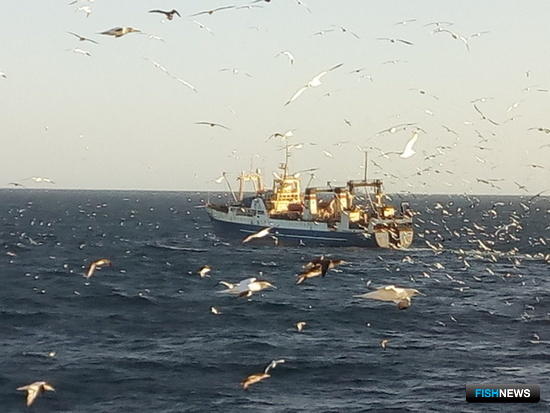 Российские ученые вернулись из рейса в зону Мавритании