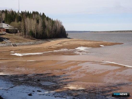 ЦБК Соликамска обязали позаботиться о водной экосистеме ЦБК Соликамска обязали позаботиться о водной экосистеме