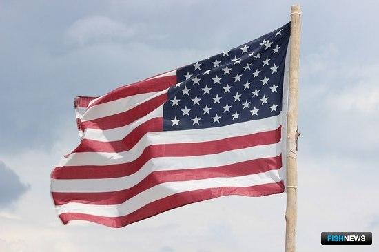 В США подсчитали импорт браконьерских уловов