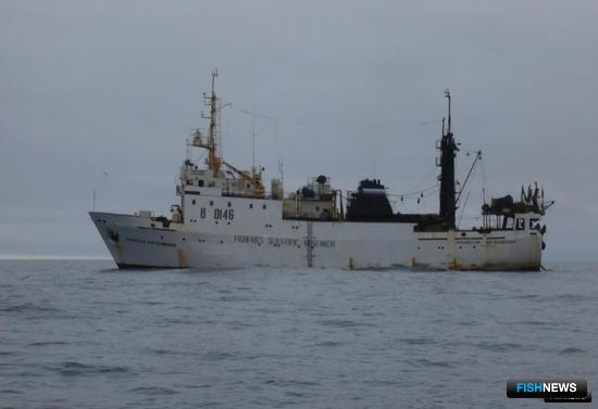 Рыбные запасы Дальнего Востока проверят ученые