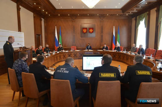 Ценных рыб Арктики хотят защитить отдельной программой