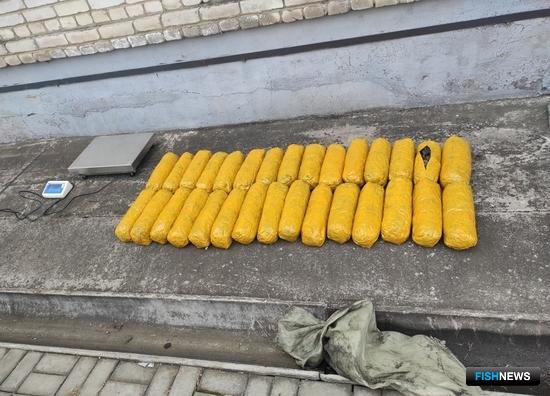 «Морской огурец» высадили из локомотива на границе «Морской огурец» высадили из локомотива на границе