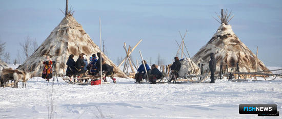 В сфере традиционного рыболовства и аквакультуры вышли новые документы