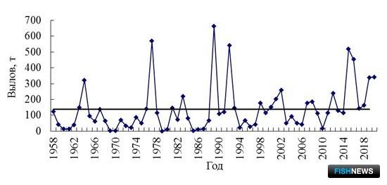 Калининградские рыбаки взялись за корюшку Калининградские рыбаки взялись за корюшку