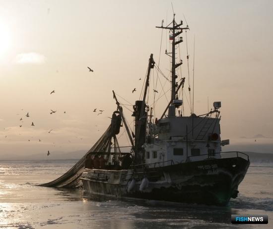 ОПОРА РОССИИ включилась в «рыбную» повестку ОПОРА РОССИИ включилась в «рыбную» повестку