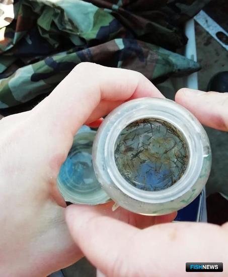 Челбасским лиманам составили &laquo;рыбный рецепт&raquo;