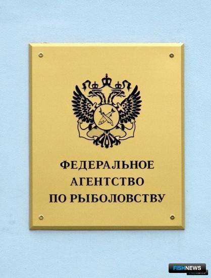 Законопроект об электронных аукционах вынесут на специальное совещание