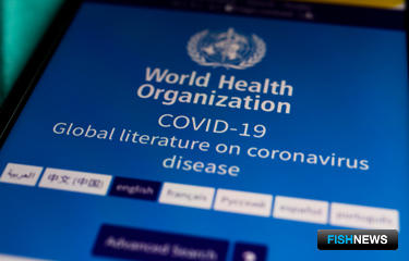 ВОЗ и Китай по-разному оценивают опасность «заморозки» ВОЗ и Китай по-разному оценивают опасность «заморозки»