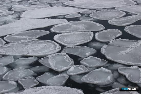 Обеспечить безопасность Севморпути поможет НИС Обеспечить безопасность Севморпути поможет НИС