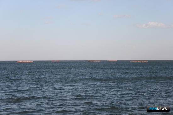 Антибиотики в китайской марикультуре беспокоят ученых Антибиотики в китайской марикультуре беспокоят ученых