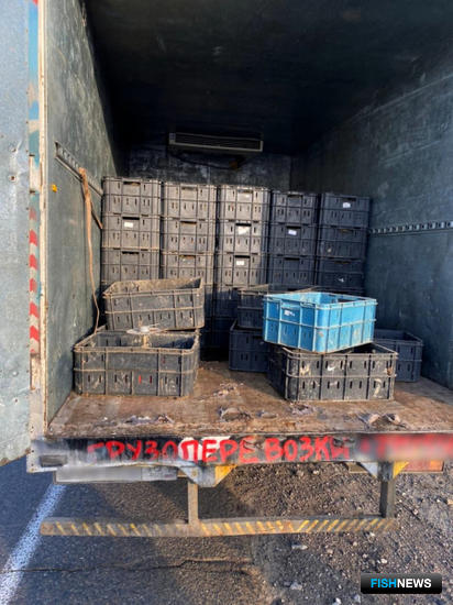 Раки-нелегалы не доехали до Ростова-на-Дону Раки-нелегалы не доехали до Ростова-на-Дону