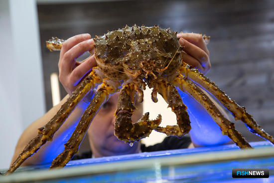 Для промысла камчатского краба обновят показатели