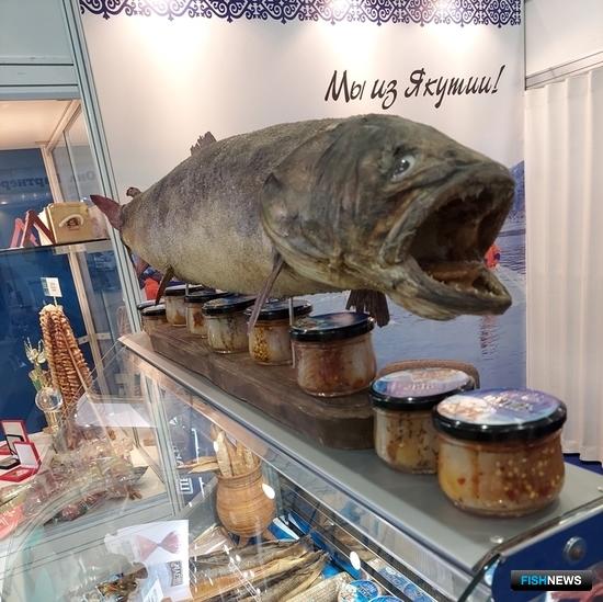 «Продэкспо-2021» принимает гостей и участников «Продэкспо-2021» принимает гостей и участников