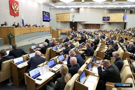 Депутаты поддержали поправки для аквакультуры на русловых прудах