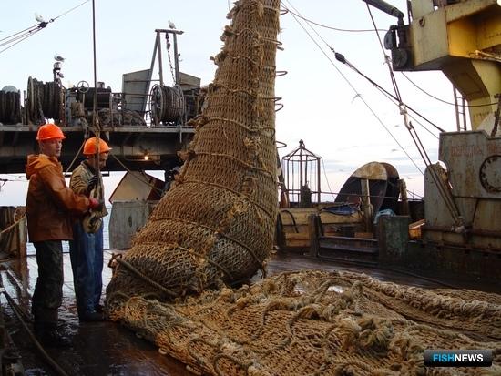 Науке и рыбоохране могут добавить средств