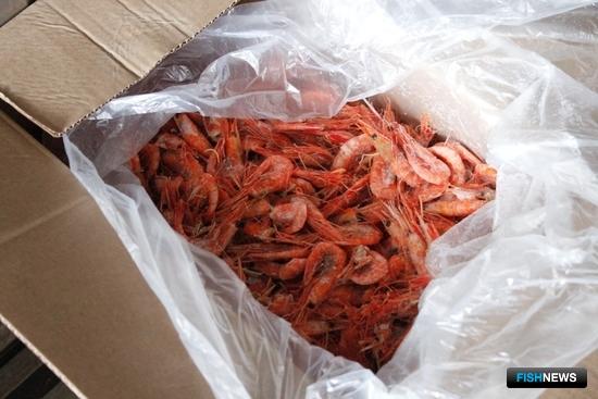 Опасные морепродукты не попали на столы приморцев Опасные морепродукты не попали на столы приморцев