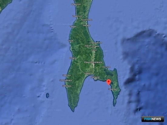 Марифермеры смогут поторговаться за участок в заливе Анива