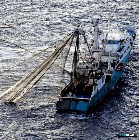 Гринпис бьет тревогу из-за дрифтера в Индийском океане Гринпис бьет тревогу из-за дрифтера в Индийском океане