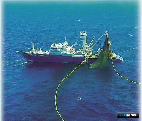 Наука обращает внимание на ресурсы Южной Пацифики Наука обращает внимание на ресурсы Южной Пацифики