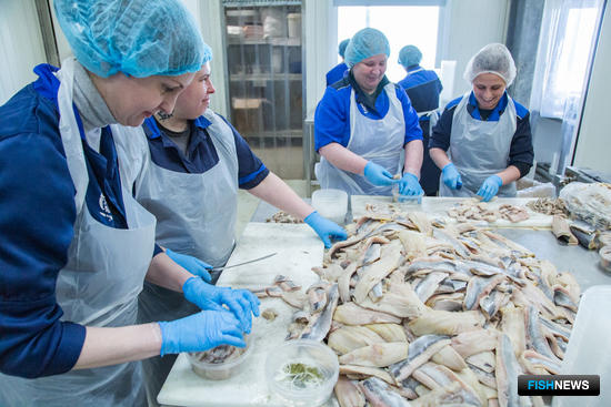 Рыбному хозяйству Карелии и Поморья пообещали кластерный подход