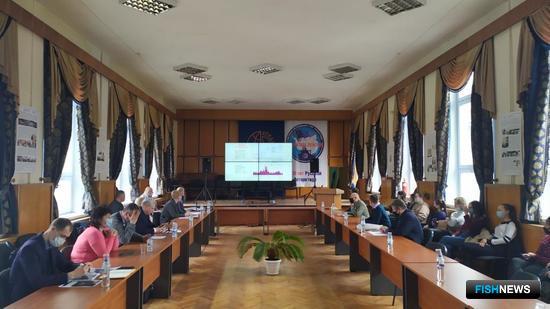 Запасы рыб Балтики обсудили с общественностью