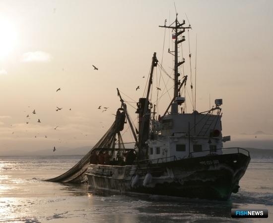 Правила распределения морских ОДУ скорректировали Правила распределения морских ОДУ скорректировали